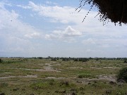 Landscape of savanna from a gazebo